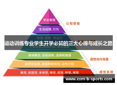 运动训练专业学生开学必知的三大心得与成长之路