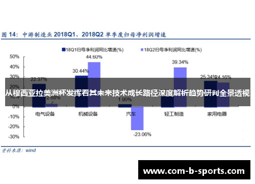 从穆西亚拉美洲杯发挥看其未来技术成长路径深度解析趋势研判全景透视 从穆西亚拉美洲杯发挥看其未来技术成长路径深度解析趋势研判全景透视