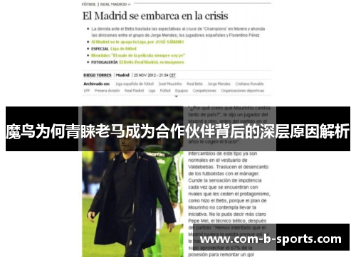 魔鸟为何青睐老马成为合作伙伴背后的深层原因解析