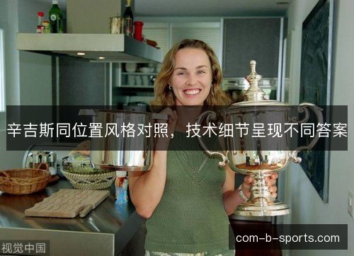 辛吉斯同位置风格对照,技术细节呈现不同答案 辛吉斯同位置风格对照,技术细节呈现不同答案